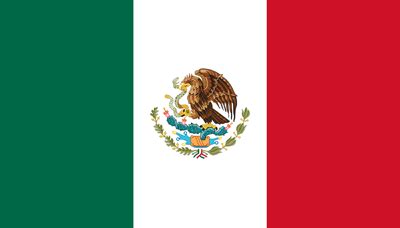 Mexico flag icon - Country flags