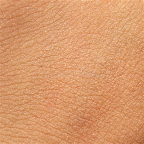 Human skin texture stock photo. Image of dark, close - 59256368