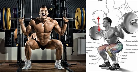 Benefits of Heavy Squats on Massive Muscle Gain - Bodydulding