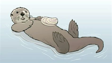 Drawing Of A Sea Otter at GetDrawings | Free download