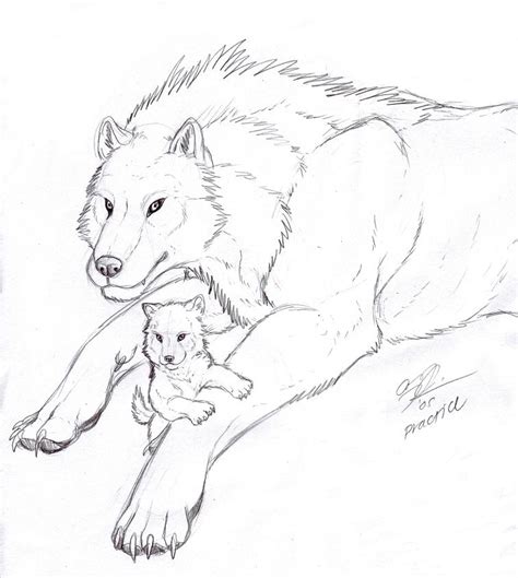 Sad Wolf Drawing at GetDrawings | Free download