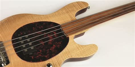 Fretless Basses For Sales - Shop New & Used | Reverb