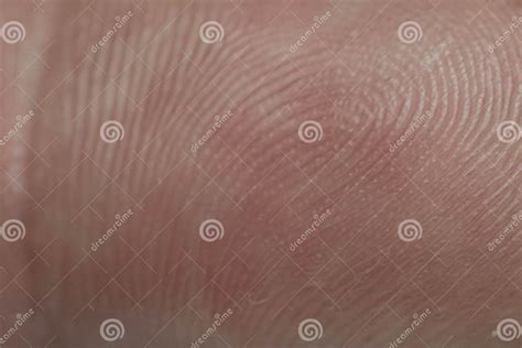 A Fingerprint is a Trace Left by the Dermatoglyphics of the Last Phalanx of the Fingers Stock ...