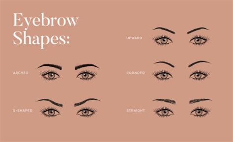 Eyebrow Shapes, Explained + Expert Tips To Style Yours | mindbodygreen