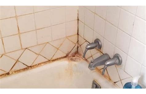 How to Prevent Bathroom Mildew | Mold Cleans