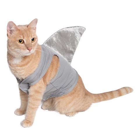 Shark Cat Costume | Shark costumes, Animal halloween costumes, Pet halloween costumes