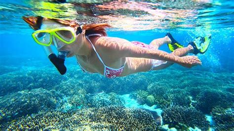 100 Best Snorkeling Dive Spots 2018 | SNORKELINGDIVES.COM