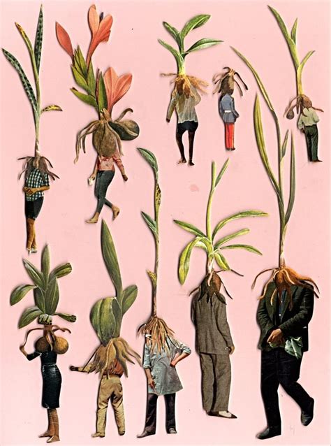 Plant People - Etsy Canada in 2024 | Collage art projects, Collage art, Nature collage