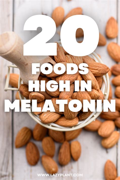 Can I get high amounts of melatonin from food? ในปี 2024