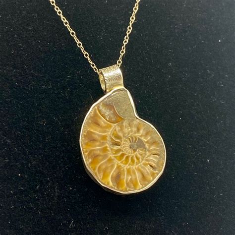 Ammonite Fossil Necklace | Kim Stahl Designs