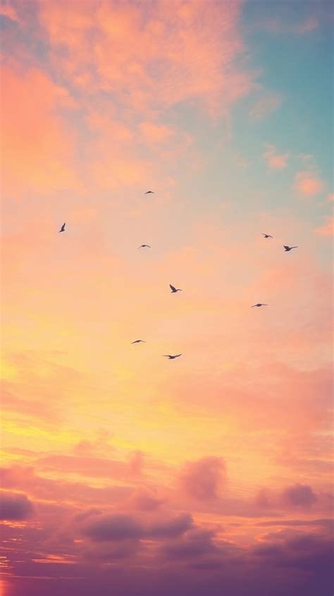 Sunset sky bird silhouette outdoors. | Free Photo - rawpixel