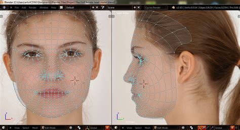 Face Modeling - Works in Progress - Blender Artists Community
