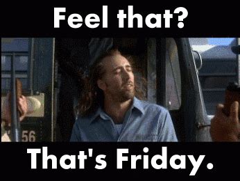 Feel that that's Friday funny gif | PMSLweb