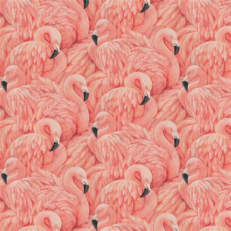 Vintage Flamingo Wallpapers - 4k, HD Vintage Flamingo Backgrounds on WallpaperBat