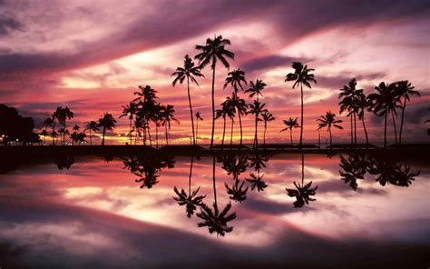 Hawaii Beach Sunset Wallpaper, Widescreen Hawaii Beach Sunset Wallpaper Image, #19659