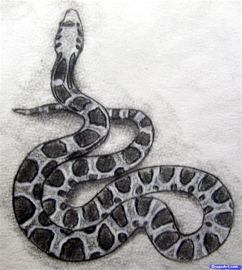 Snake Pencil Sketch at PaintingValley.com | Explore collection of Snake ...