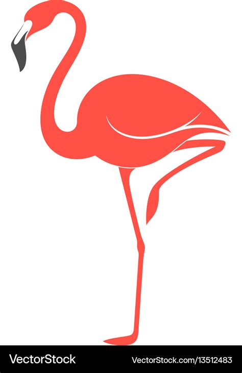 Vector flamingo svg - milopack