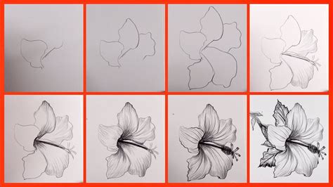 how to draw a flower: step by step in 2020 | Drawings, Flower step by ...