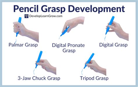 Development of Pencil Grasp - How to Promote a Functional Grasp with 5 Types of Activities ...