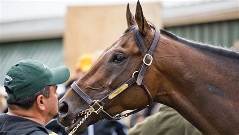 Preakness Stakes winners: Full list of past results - Sports Illustrated