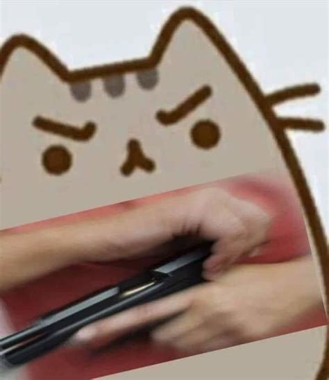 cat is displeased | Pusheen | Know Your Meme Funny Profile Pictures ...