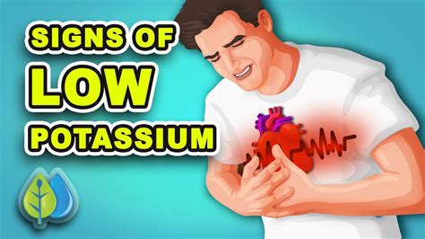 Low Potassium Symptoms Hypokalemia Potassium Deficiency, 58% OFF