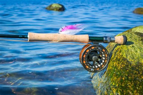 Saltwater Fly Reel Buying Guide: Must-Have Features and 5 Top Values