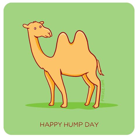 Happy Hump Day Wednesday Camel Camel GIF - Hump Day Wednesday Camel - Descobrir e Compartilhar GIFs