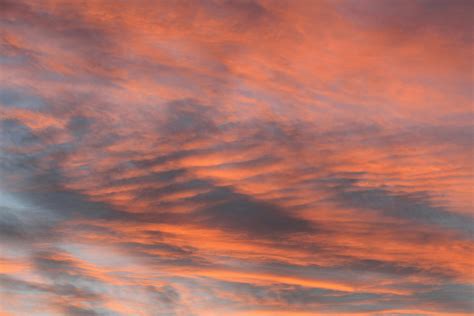 Free stock photo of pink sky, skyline, sunset