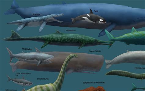 Megalodon Shark Size Chart