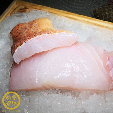 Red Grouper Fillet, Fresh 400gm – The Seafood Market Place by Song Fish