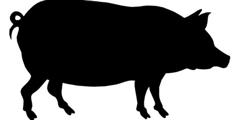 October | 2012 | fishmonger vs. butcher | Pig silhouette, Black pig, Pig graphic