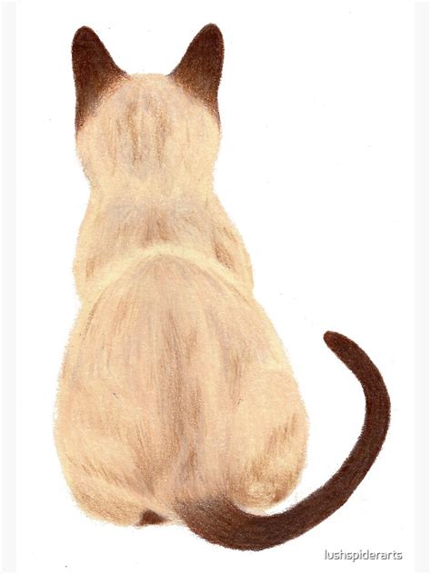 "Siamese Cat Sitting Back View" Poster for Sale by lushspiderarts | Redbubble