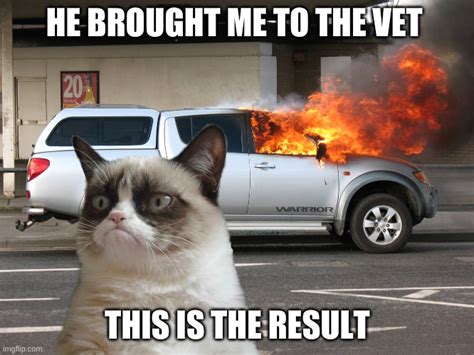 Grumpy Cat Car on Fire Memes - Imgflip