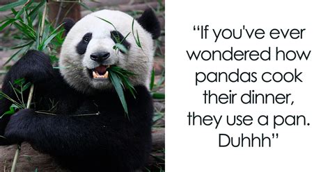 98 Of Truly Panda-stic Panda Puns | Bored Panda