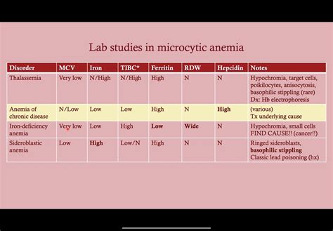 Lead Poisoning Anemia