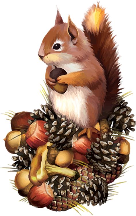 Download High Quality fall clipart squirrel Transparent PNG Images - Art Prim clip arts 2019