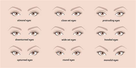 Types Of Makeup For Diffe Eye Shapes - Infoupdate.org