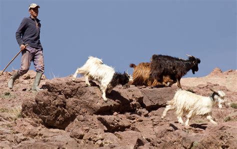 Adventure Classroom - Berbers of North Africa