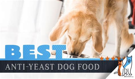 6 Best Anti-Yeast Dog Foods: Our Yeast Free Dog Food Guide | Dog food recipes, Free dog food ...