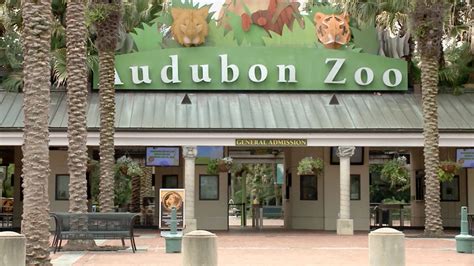 Audubon Zoo loses 9 animals after jaguar escapes habitat - ABC7 San ...