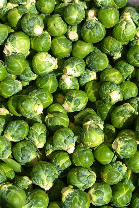 Brussels Sprouts Recipe — Dishmaps