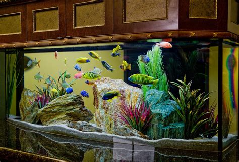 Beauty and Luxury with Saltwater Fish Aquarium | Aquarium Design Ideas