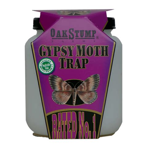 Gypsy Moth Trap by OakStump