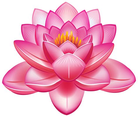 Collection of PNG Lotus Flower. | PlusPNG