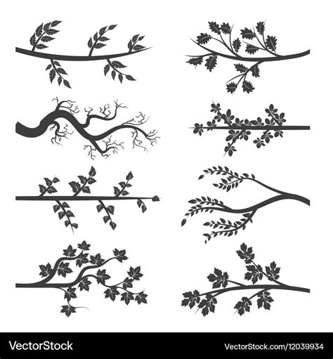 Tree branches with leaves silhouette Royalty Free Vector