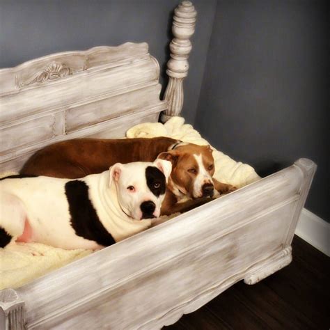 13 Adorable DIY Dog Beds — The Family Handyman