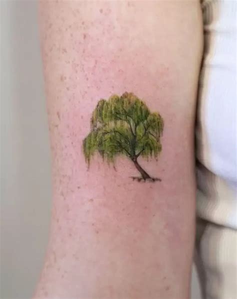 Oak Tree Tattoo Meaning: The Deeper Meanings Behind Popular Tattoo Designs