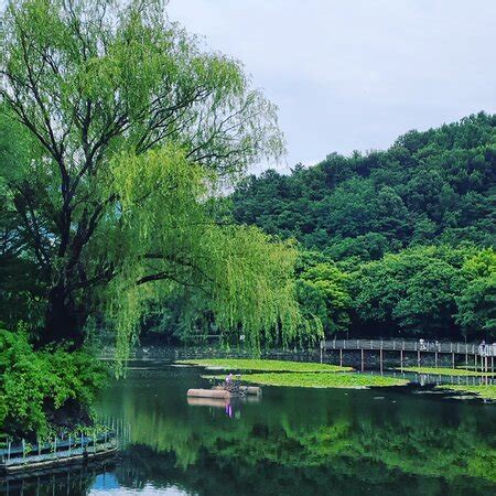 THE 10 BEST Things to Do Near Daegu Duryu Park (2024)