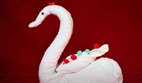 How To Make A Towel Into A Swan